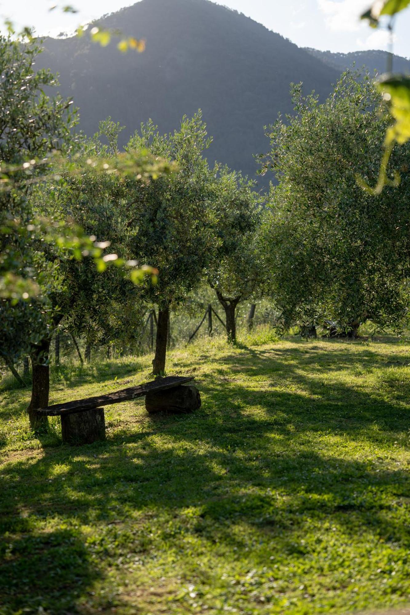 Agriturismo I Due Ghiri - Cinque Terre Calice al Cornoviglio Exterior photo